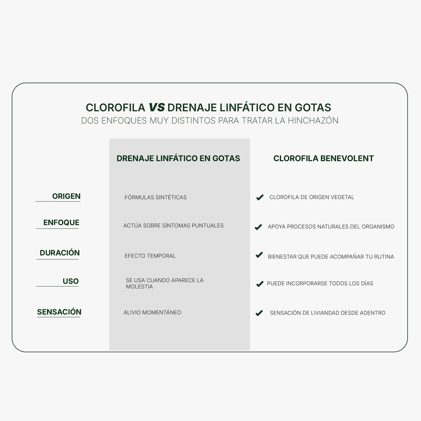 Clorofila Benevolent | Detox Natural