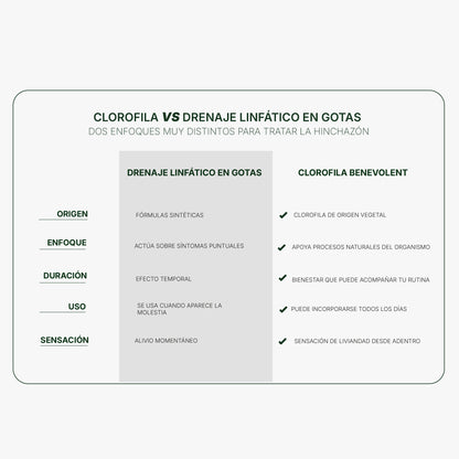 Clorofila Benevolent | Detox Natural